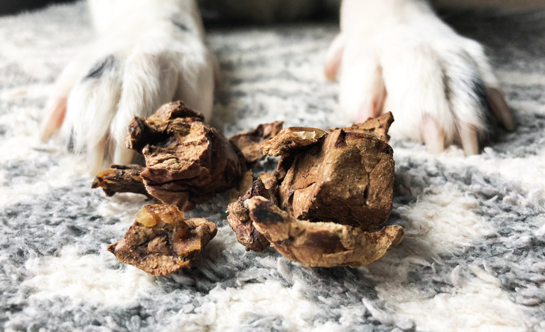 featured-image-gubbatv-blog-pet-toys