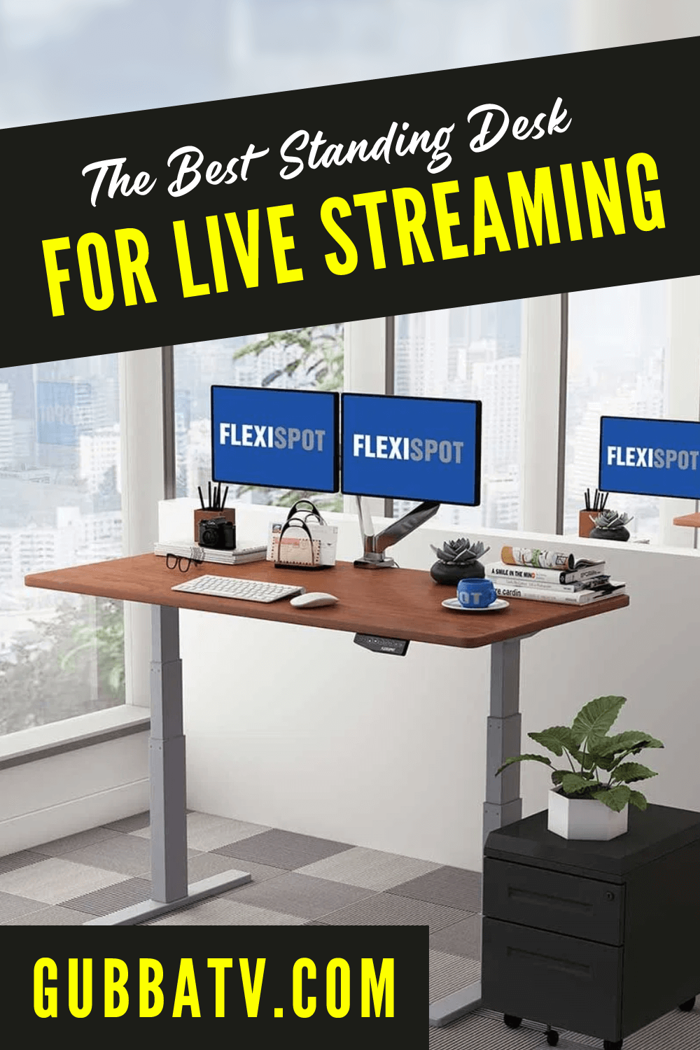 The Best Standing Desk For Home Office / Live Streaming