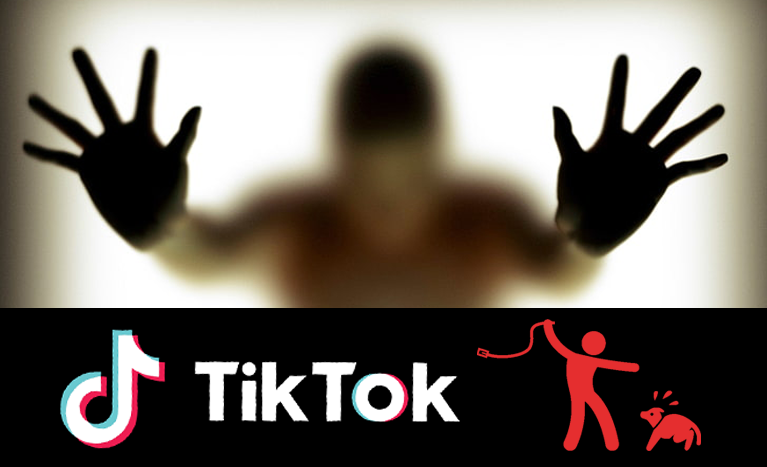 porn-animal-abuse-and-tiktok tiktok disturbing